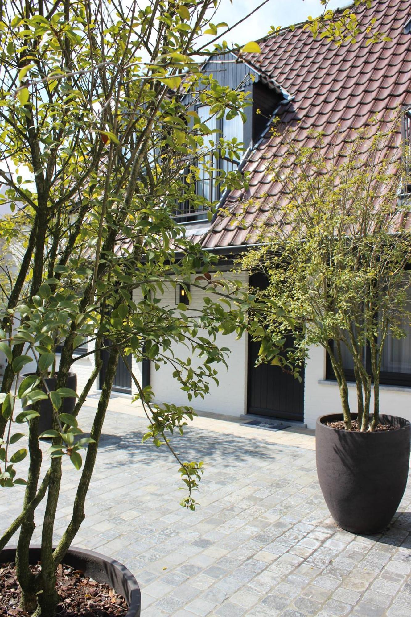 Dukes' Palace Residence - By Dukes' Hotel Collection Brygge Exteriör bild